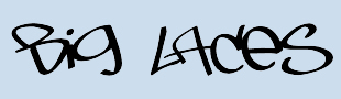 www.biglaces.com